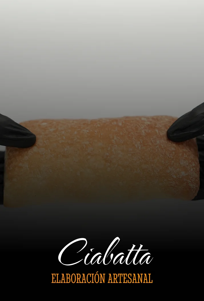 ImgProductCiabatta