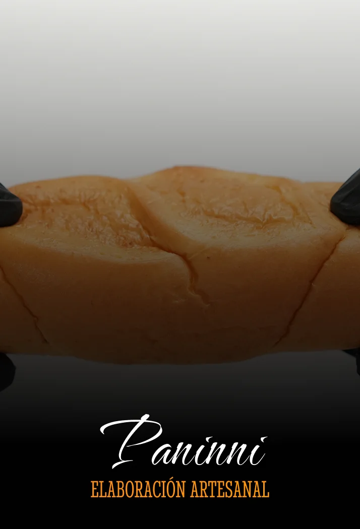 ImgProductPaninni